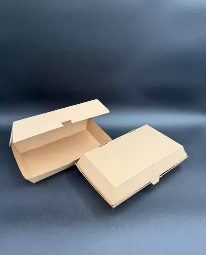 Verpackungen Lunchbox-21-x-21-x-7,5-cm-100-Stück